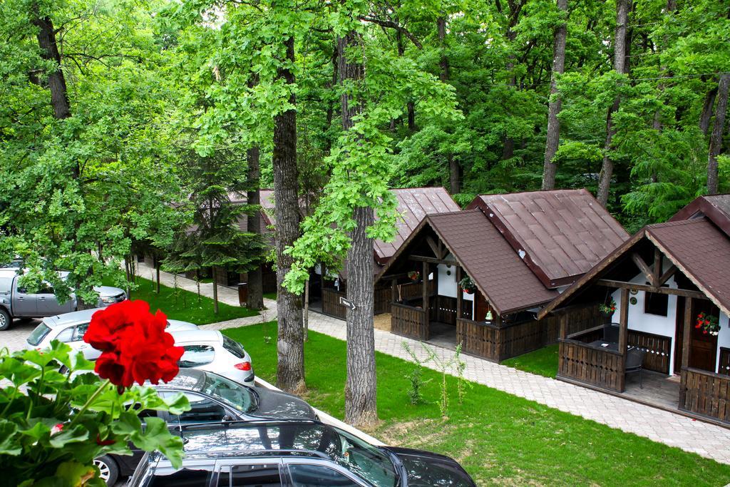 Cornul Vanatorului Bungalows 皮特什蒂 外观 照片