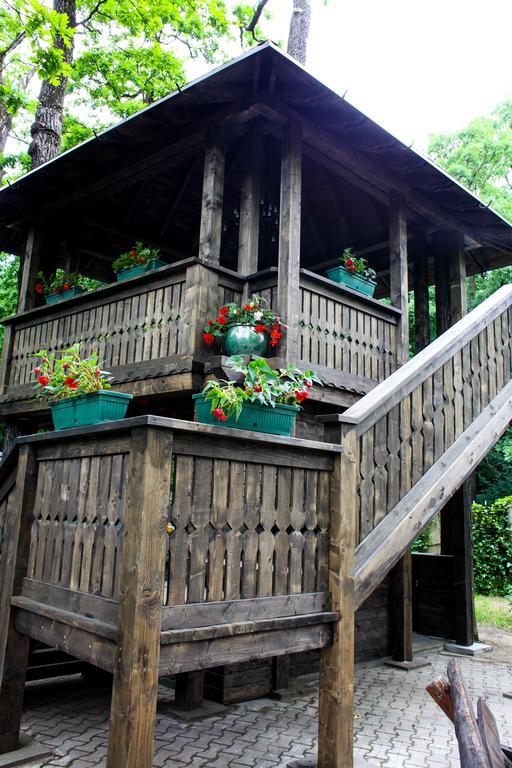 Cornul Vanatorului Bungalows 皮特什蒂 外观 照片