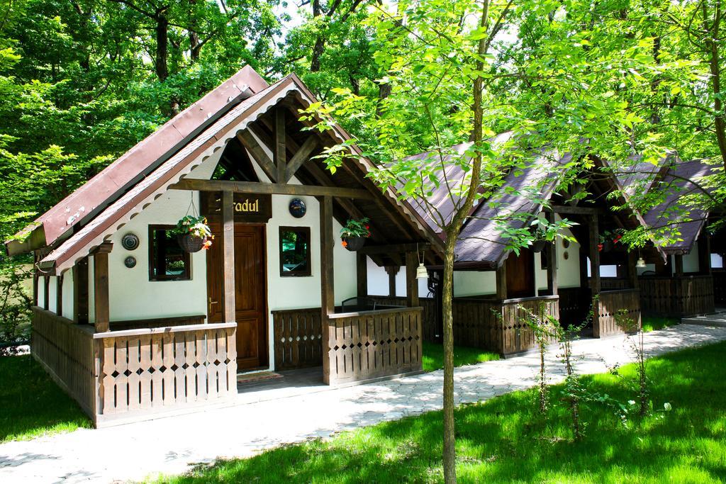 Cornul Vanatorului Bungalows 皮特什蒂 外观 照片