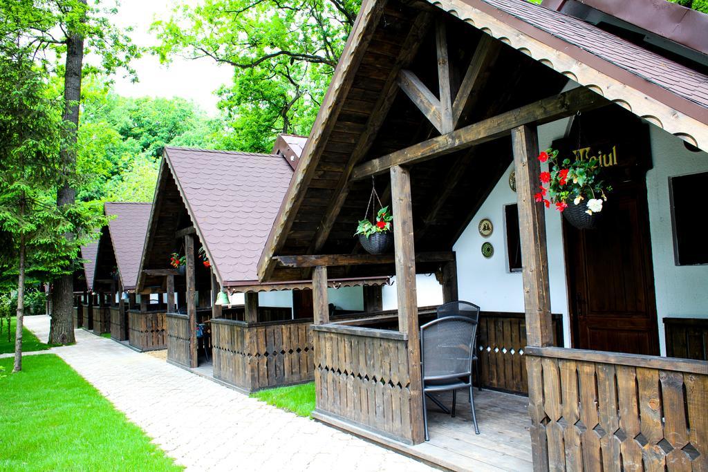 Cornul Vanatorului Bungalows 皮特什蒂 外观 照片