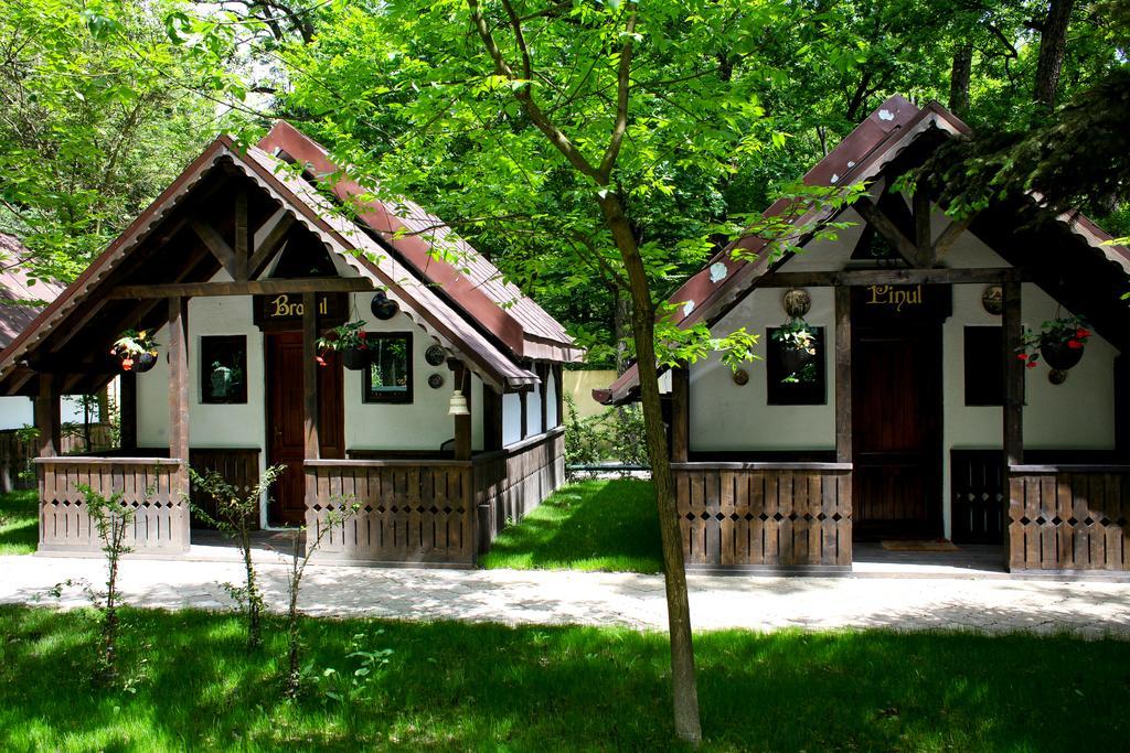 Cornul Vanatorului Bungalows 皮特什蒂 外观 照片