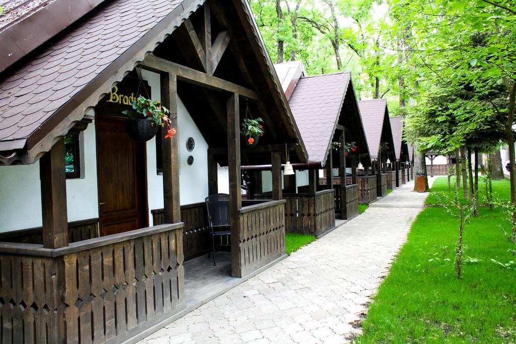 Cornul Vanatorului Bungalows 皮特什蒂 外观 照片