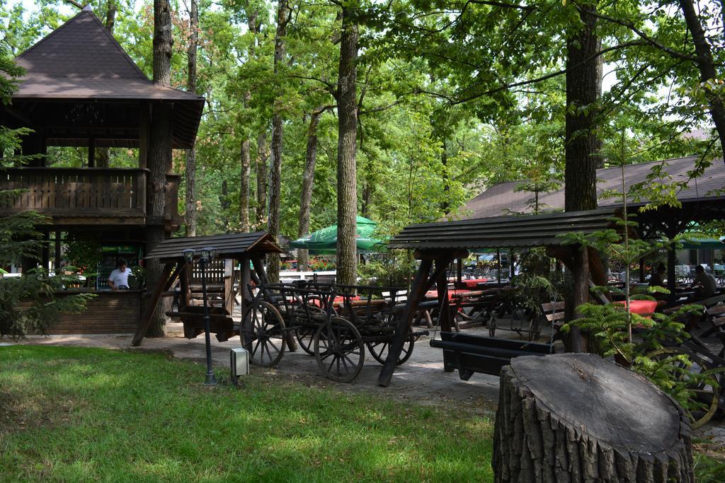 Cornul Vanatorului Bungalows 皮特什蒂 外观 照片