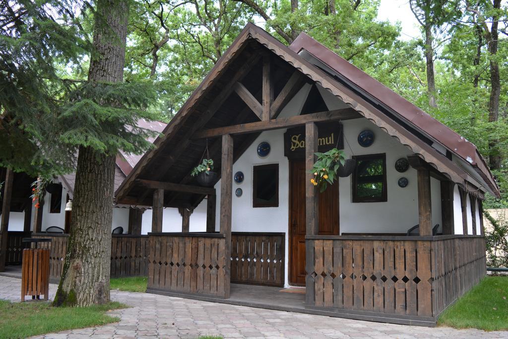Cornul Vanatorului Bungalows 皮特什蒂 外观 照片