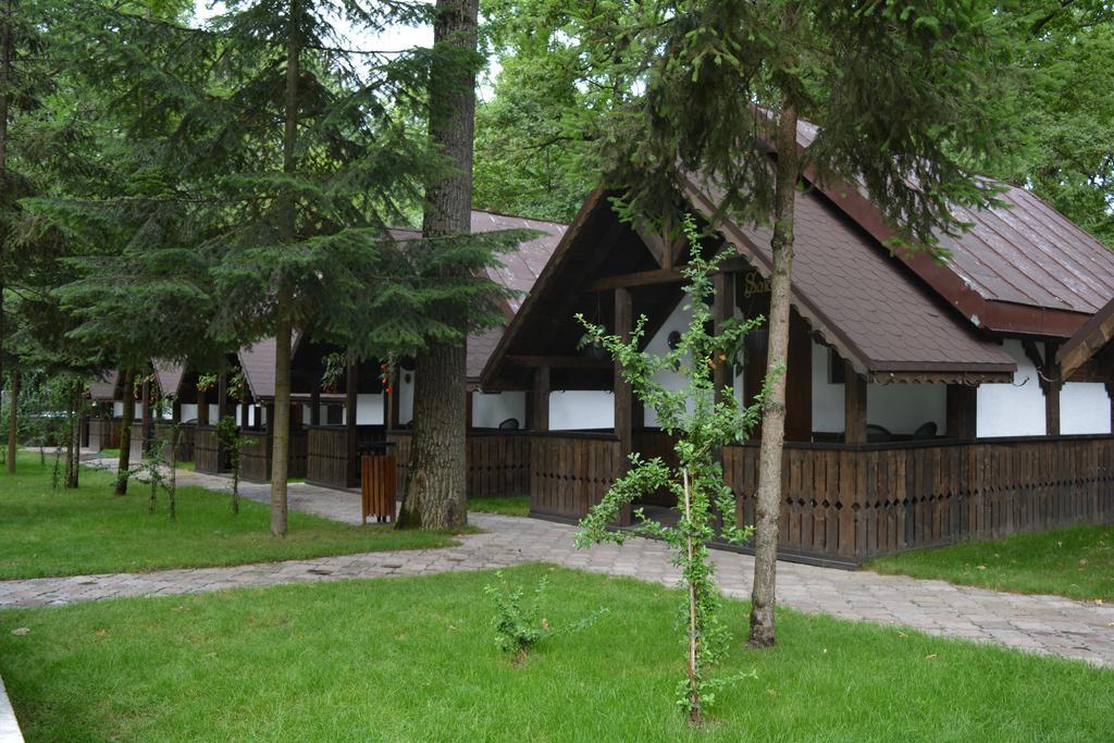 Cornul Vanatorului Bungalows 皮特什蒂 外观 照片