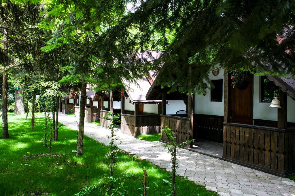 Cornul Vanatorului Bungalows 皮特什蒂 外观 照片